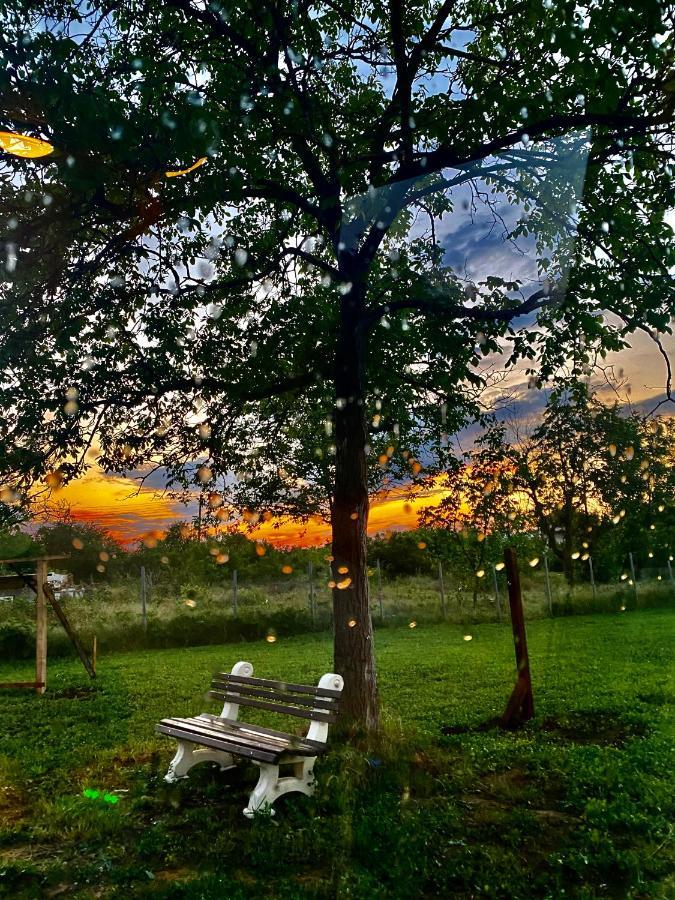 Caravans 10 Min To Tsonevo Lake & 35 Min To Black Sea ภายนอก รูปภาพ